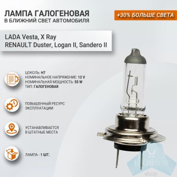 Лампа галоген 12V H7 55W PX26d, LECAR
